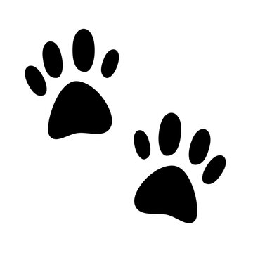 cat paw foot print illustration icon