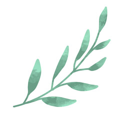 Obraz premium Green leaf watercolor summer illustration