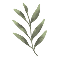 Green leaf watercolor summer illustration