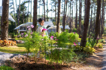 Naklejka na ściany i meble Asian child or kid girl travel camping looking pink blooming flowers with campervan or RV motorhome in nature trees garden or forest and wearing scarf on holiday vacation at Doi Bo Luang Forest Park