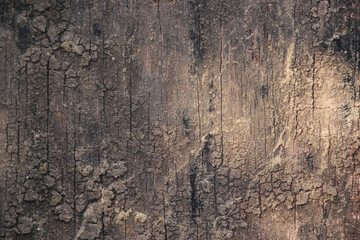 Photo of a backdrop of used wood panels. It is naturally beautiful. and has been decorated with differences along with the uniqueness of nature that is unique