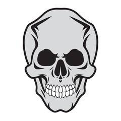 human skull