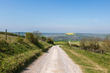 Looking along a chalk pathway in the South Downs, on a sunny spring morning