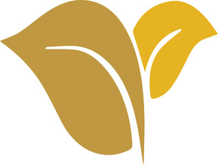 leaf logo of vector image