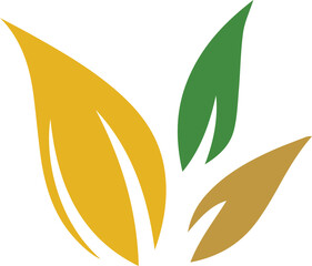 leaf logo of vector image