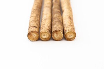 白背景にゴボウ