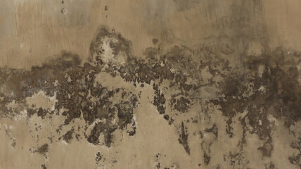 the walls of the house are painted white mossy blue