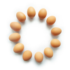 Brown chicken eggs in circle sharp on white background.