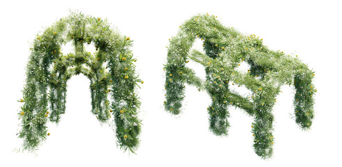  beauty arch with flower