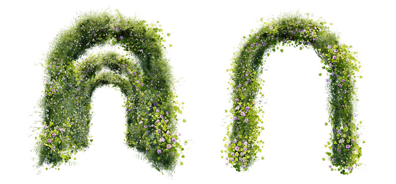 grass and flower arch cut out background
