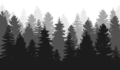 Obraz premium Seamless wild forest silhouette background or landscape with pine, coniferous and christmas tree. Vintage fir tree and pine mountain forest. Natural environment and winter floral botanical garden.