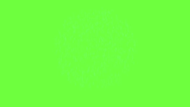 Explosive real firework in silver and blue colors with silver trail or trace on green screen. Firework display slow motion. One firework on green screen. 