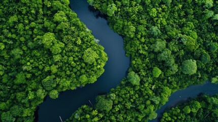  an aerial view of a river in the middle of a forest with lots of trees on both sides of the river and a few boats in the water on the other side of the river.
