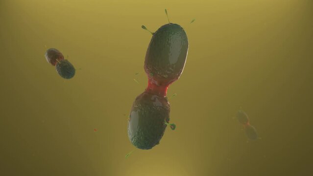 Shaped virus cells realistic animation render
