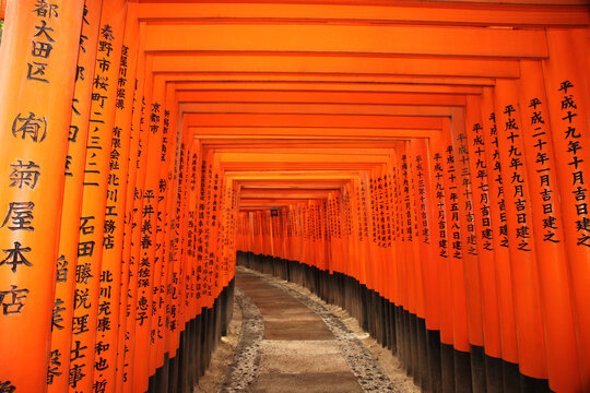 Red Torii gates in Fushimi Inari shrine in Kyoto, Japan