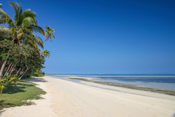 Walking along the Beautiful Beach on the Tropical Island on a Sunny Day