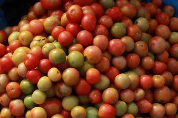 fresh tomato at market