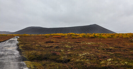 Anfahrt zu erloschenem Vulkankrater auf Island an einem regnerischen Herbsttag. Bäume und Büsche sind herbstlich gelb und orange gefäbrt.   © Evi