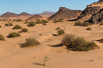 Fototapeta na wymiar Rock formations in the tourist area of Tegharghart, near the town of Djanet. Tassili n Ajjer National Park. Sahara desert. Algeria. Africa.