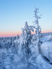 Beautiful sunrise on a frosty morning, a snowy cliff, trees on the edge.