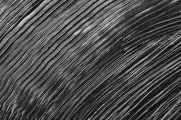 Smear of black mascara as background, closeup