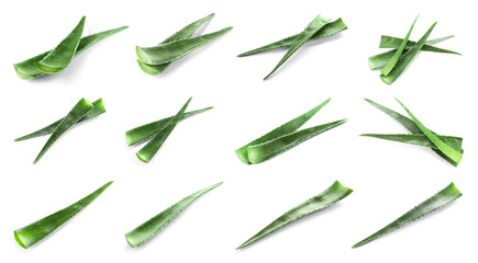 Aloe Vera. Fresh green leaves isolated on white, collection - obrazy, fototapety, plakaty