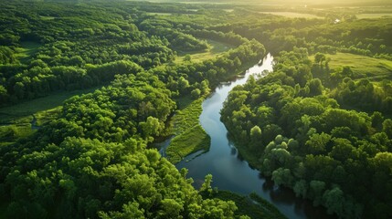 Fototapeta premium an aerial view of a river running through a lush green forest filled with lots of trees on both sides of the river, surrounded by lush green grass and trees on both sides.