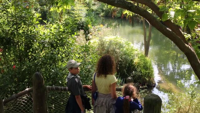 Woman with two children look at water of river in summer park