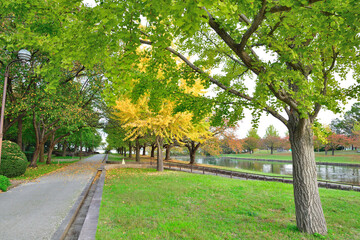 新潟県スポーツ公園の紅葉（新潟県）