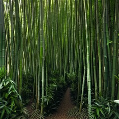 Fototapeta premium bamboo forest illustration background