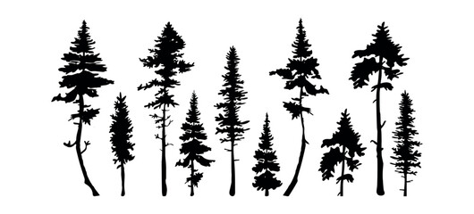 tall pine trees vector silhouette. silhouette of tall fir trees vector - obrazy, fototapety, plakaty