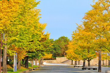 新潟県スポーツ公園の紅葉（新潟県）