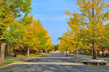 新潟県スポーツ公園の紅葉（新潟県）