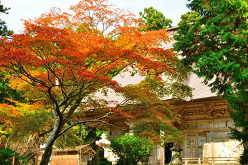国上寺の紅葉（新潟県）