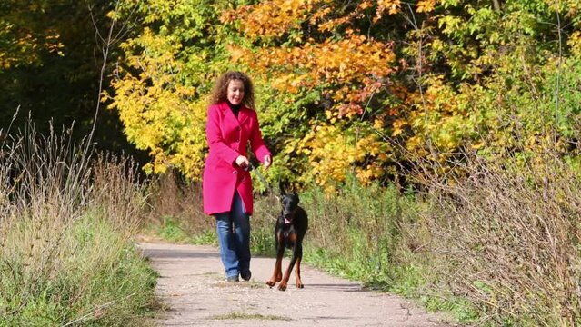 Pretty woman walks with her dog in sunny autumn forest