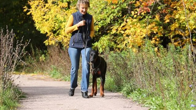 Woman in jeans walks with her dog in sunny autumn forest