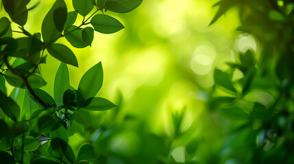 Lush green leaves in soft focus with a sunlit bokeh effect, depicting the freshness and vitality of nature in spring