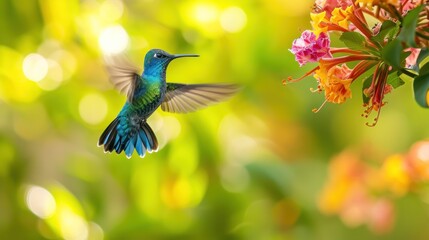  a blue and green hummingbird flying next to a bunch of pink and yellow flowers with green leaves in the background and a blurry boke of yellow and pink flowers in the foreground.