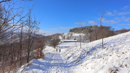 winter landscape in the mountains