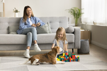 Happy little kid playing with cute beagle dog and stacking building blocks on warm floor. Positive...