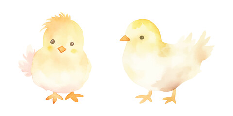 Fototapeta premium cute chick watercolor vector illustration