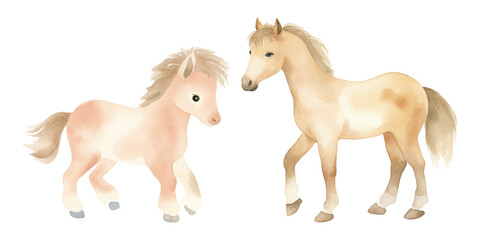 cute horse watercolor vector illustration