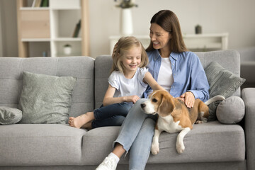 Cheerful positive mom cuddling sweet little daughter and pet dog at home, sitting on comfortable...