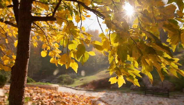 beautiful autumn landscape with yellow trees and sun colorful foliage in the park falling leaves natural background