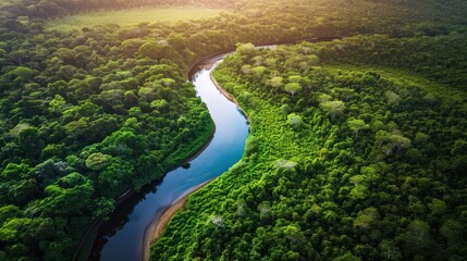  an aerial view of a river in the middle of a lush green forest with a river running between the two sides of the river, surrounded by lush green trees. - obrazy, fototapety, plakaty