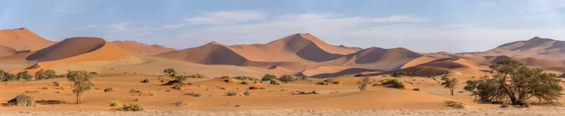 Fototapeta na wymiar Big Mamma dune in Naukluft desert, near Sossusvlei, Namibia