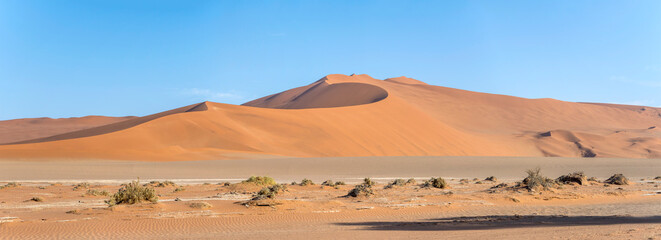 Fototapeta na wymiar Big Daddy dune in Naukluft desert, near Sossusvlei, Namibia