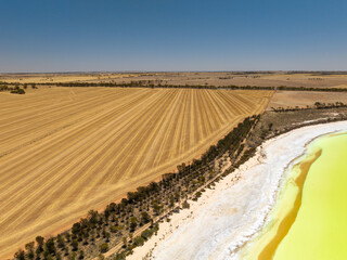 Aerial view of farmland and of lake Baandee, a salt lake around Merredin in Western Australia