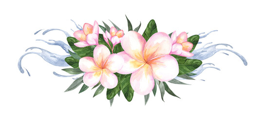 Composition of plumeria flowers. Frangipani and palm leaves isolated on white background. Watercolor botanical illustration for cosmetics and perfume packaging design