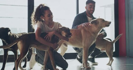 Love, animal shelter and couple hug dogs in pet kennel for foster, rehabilitation or adoption choice. Happy, rescue and people smile with stray puppy decision at pound with care, support or kindness - Powered by Adobe